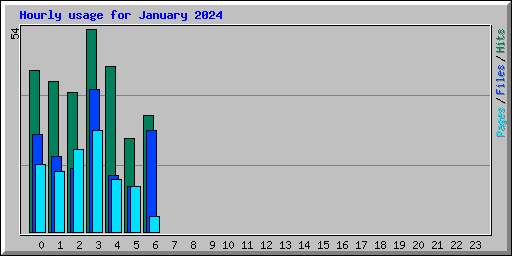 Hourly usage for January 2024