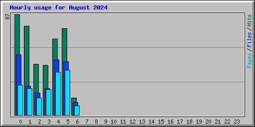 Hourly usage for August 2024