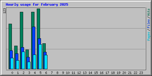 Hourly usage for February 2025