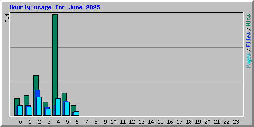 Hourly usage for June 2025