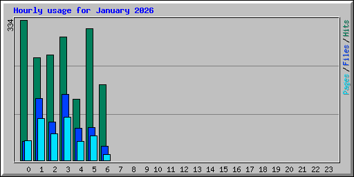 Hourly usage for January 2026