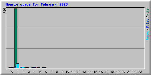 Hourly usage for February 2026